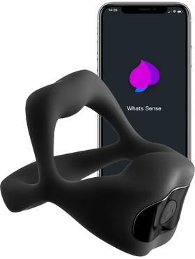 NSNovelties Techno Strobe, App Controlled Cock Ring