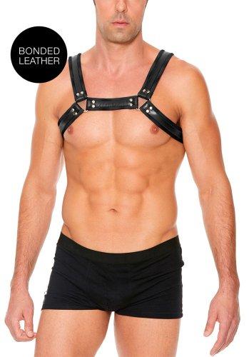 Buckle Bulldog Harness L/XL