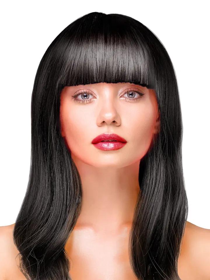 Party Wig Long Straight Black Hair